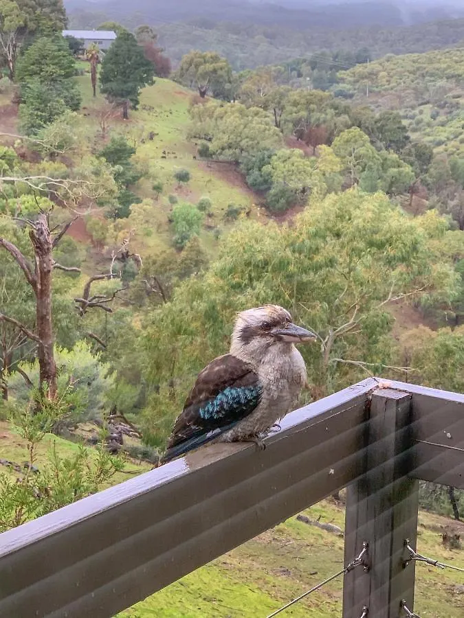 Parvatii-Perfect Adelaide Escape-15 Mins To City & Wineries 0*,  Austrália