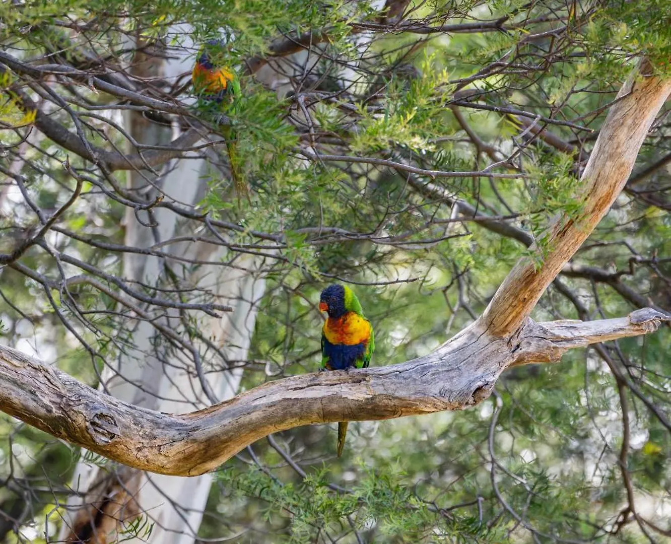 Parvatii-Perfect Adelaide Escape-15 Mins To City & Wineries